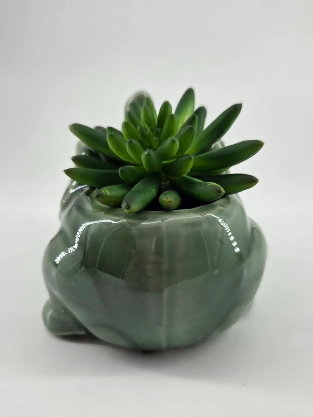 Vintage Sage Green Ceramic Elephant Planter Succulent Pot